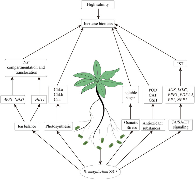 Figure 7