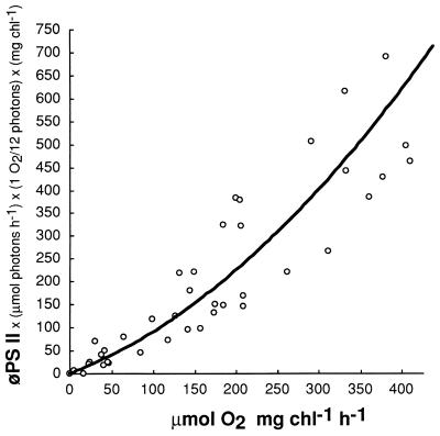 FIG. 11