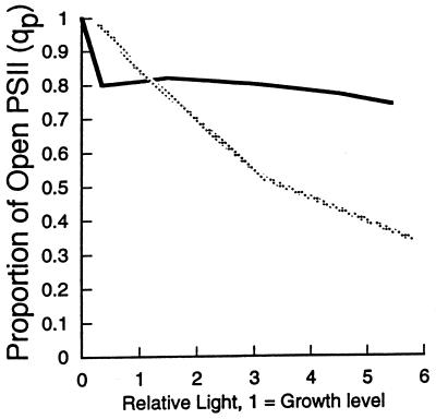 FIG. 5