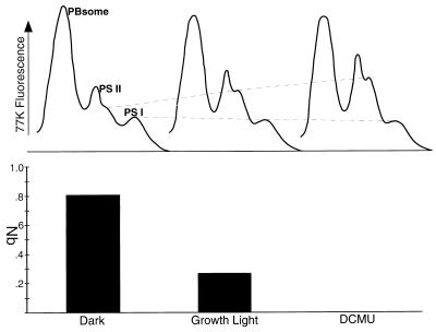 FIG. 9