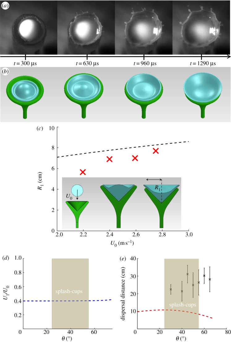 Figure 5.