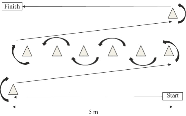 FIGURE 2