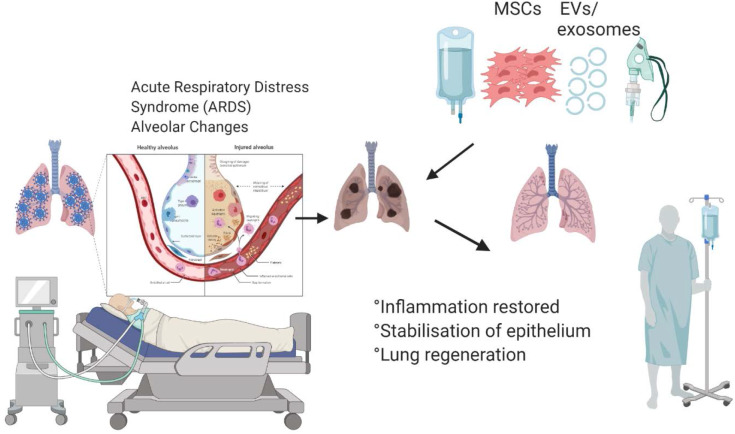 Graphical Abstract