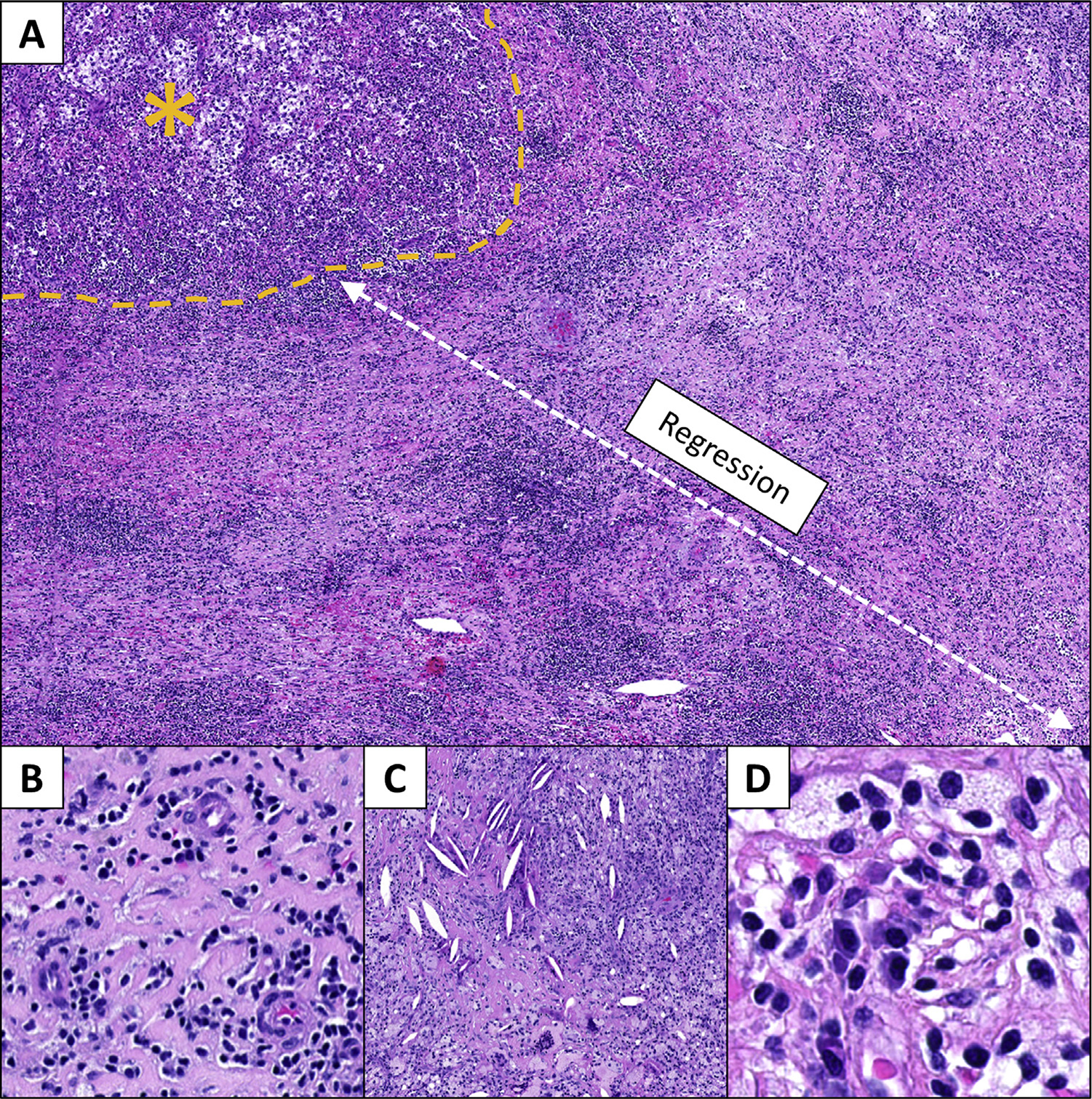 Fig. 2 –