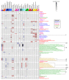 Figure 4—figure supplement 3.
