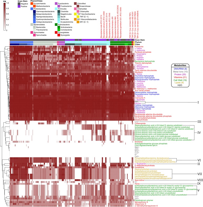 Figure 4—figure supplement 1.