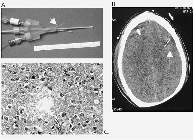 Fig. 5