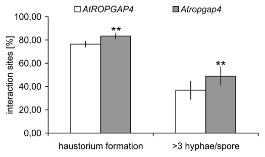 Figure 2.