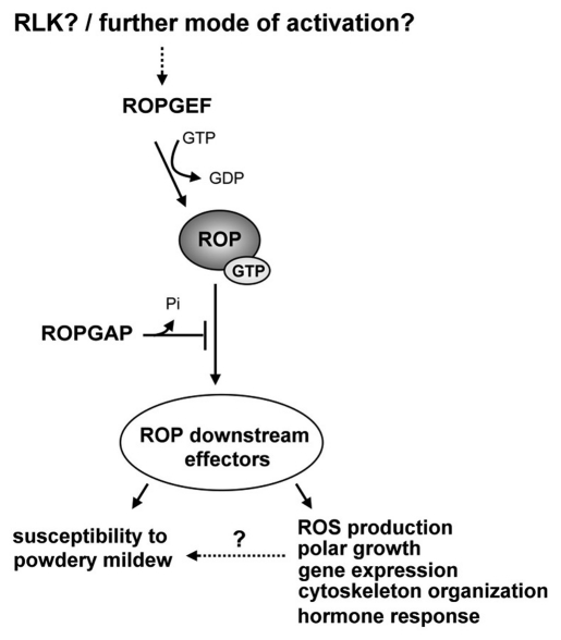 Figure 3.