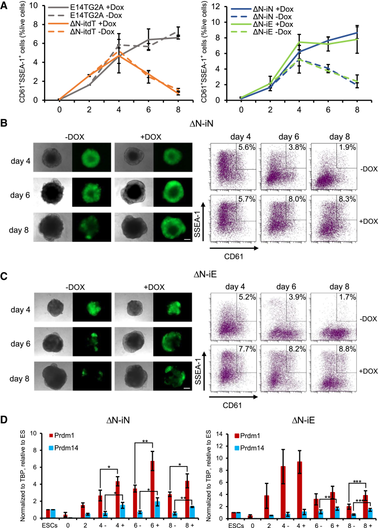 Figure 3