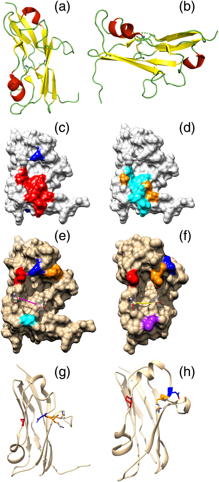 FIGURE 3