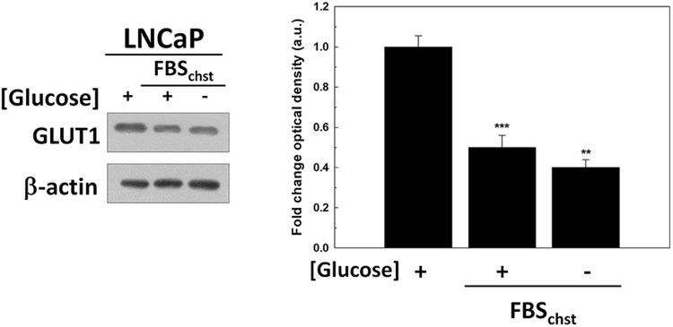 Fig. S3