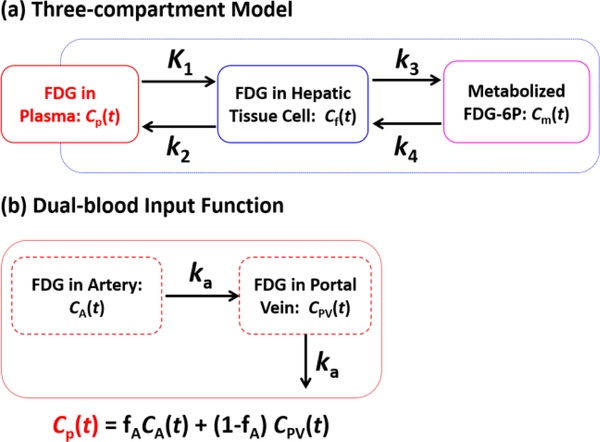 FIGURE 1: