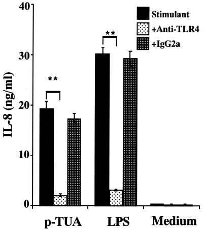 FIG. 8