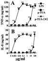 FIG. 10