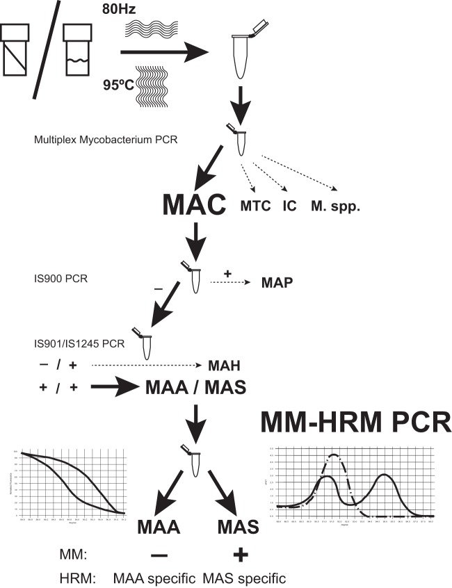 FIG 3