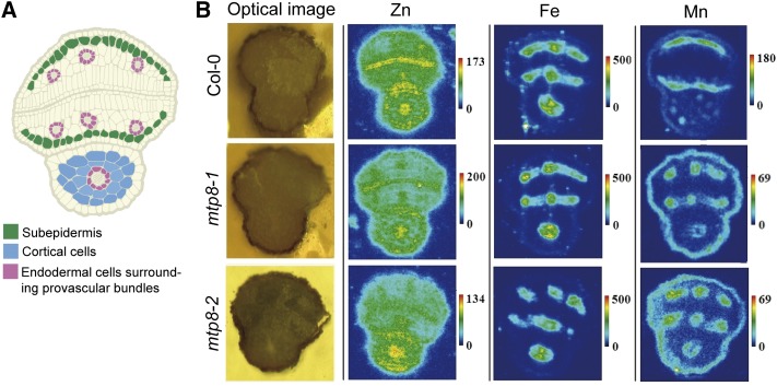 Figure 2.