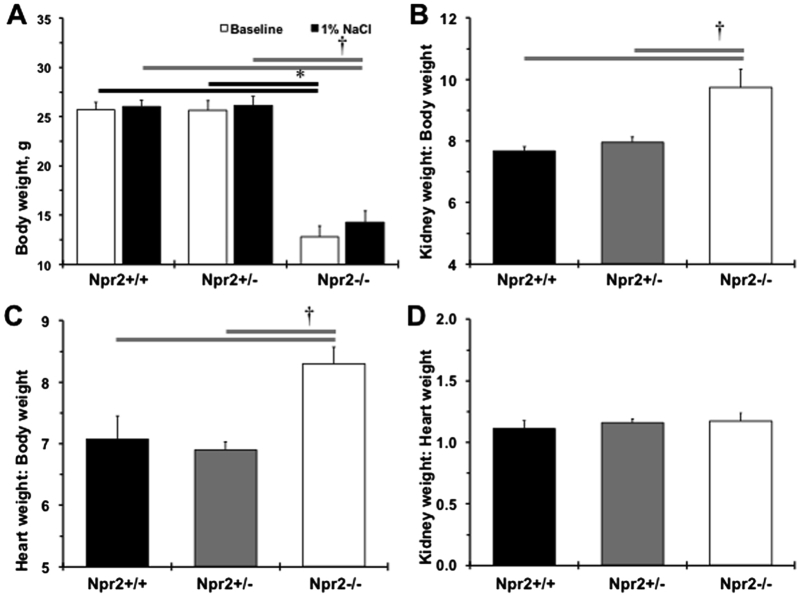 Supplemental Figure S1