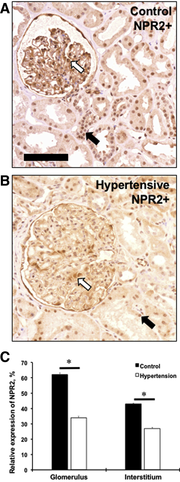 Figure 5