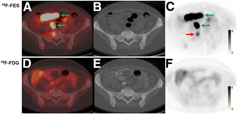 FIGURE 3.