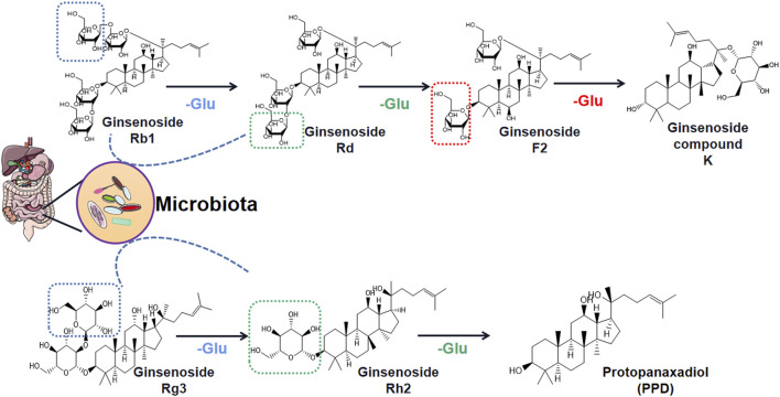 FIGURE 2