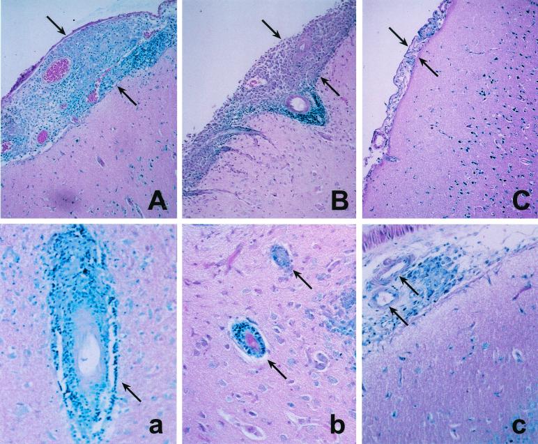 FIG. 6.