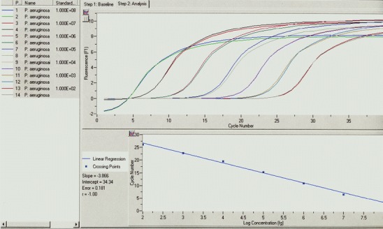 Fig. 2