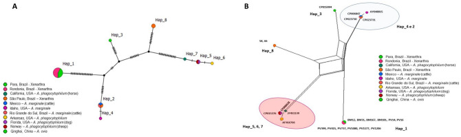 Figure 6