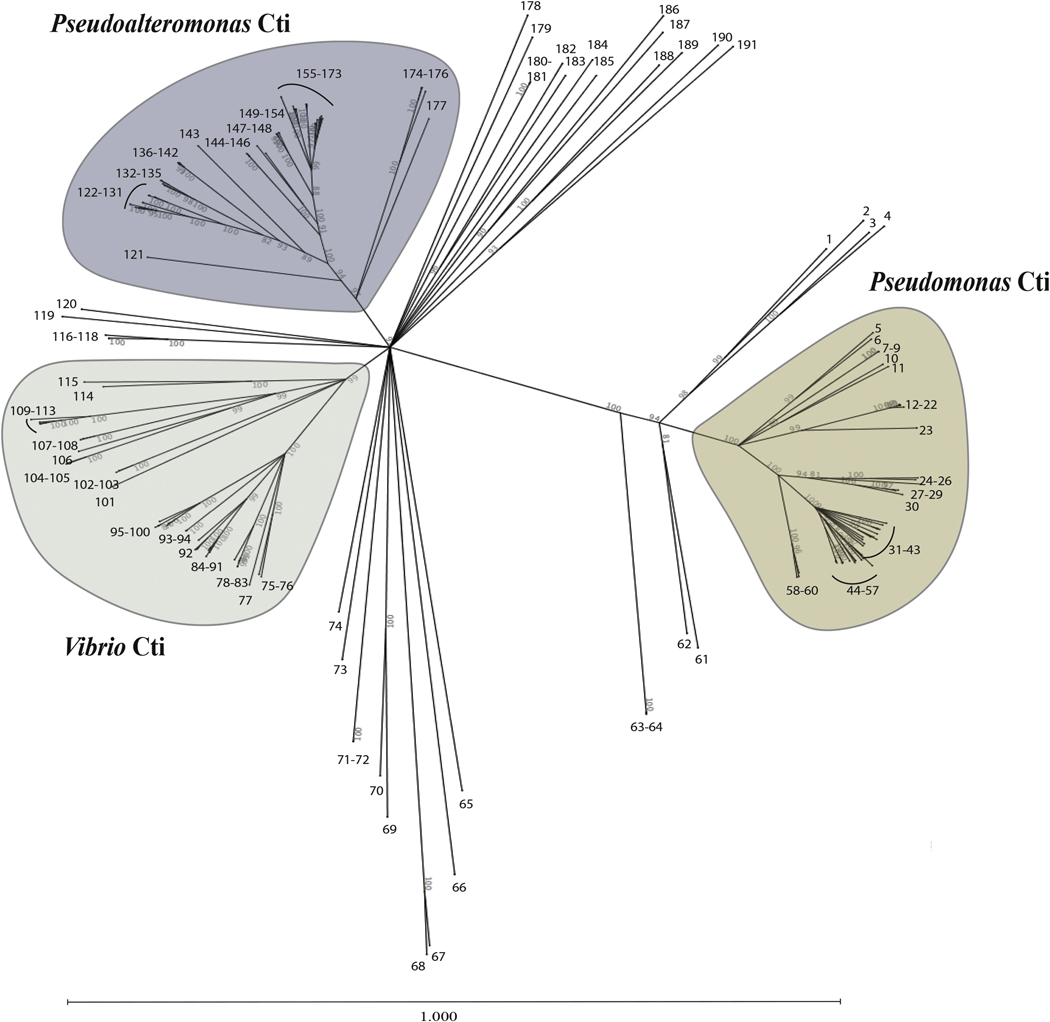 Figure 7.