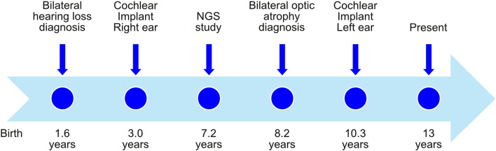 FIGURE 1