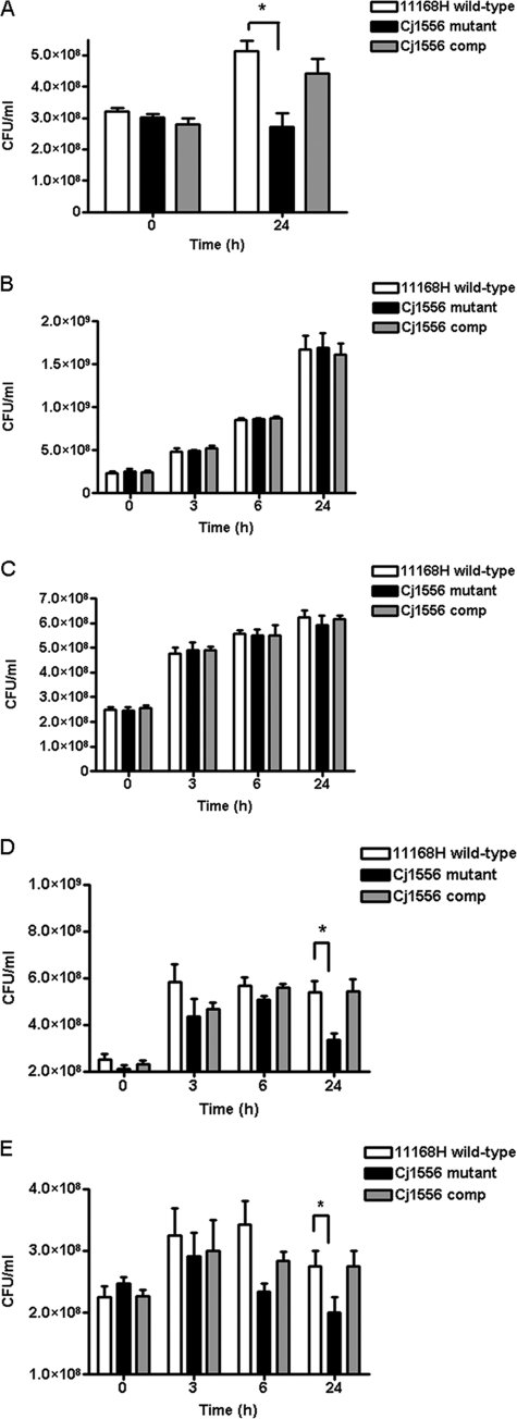 Fig. 4.