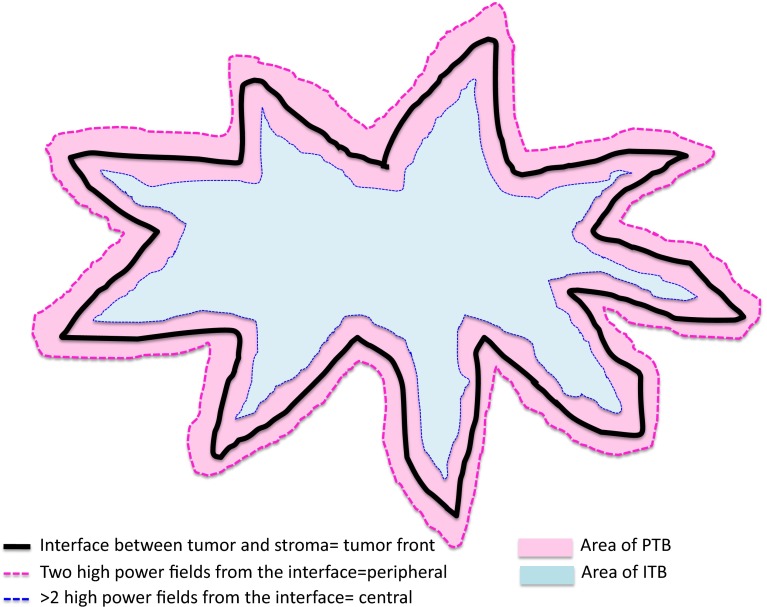 Fig. 2