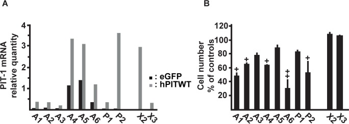 Fig 7