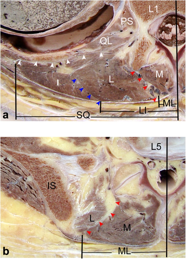 Fig 5