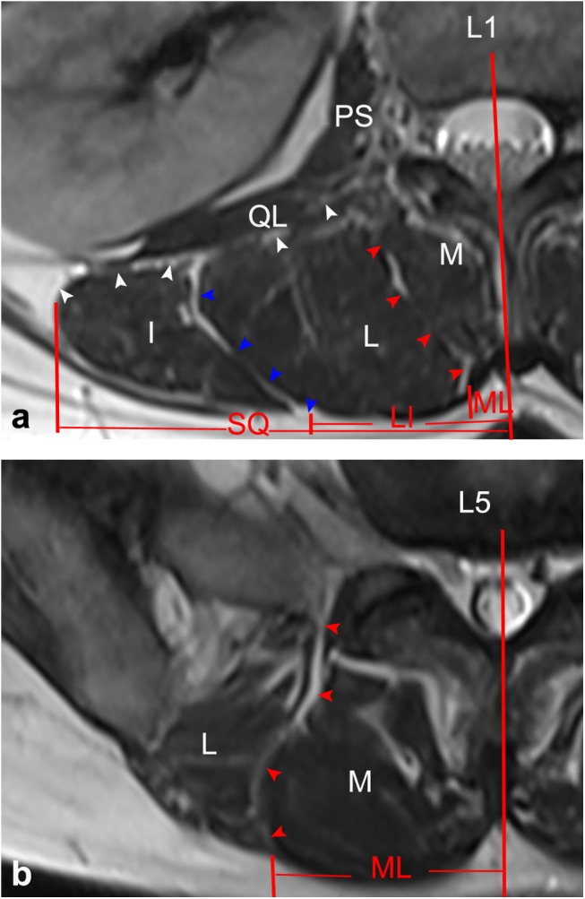 Fig 7