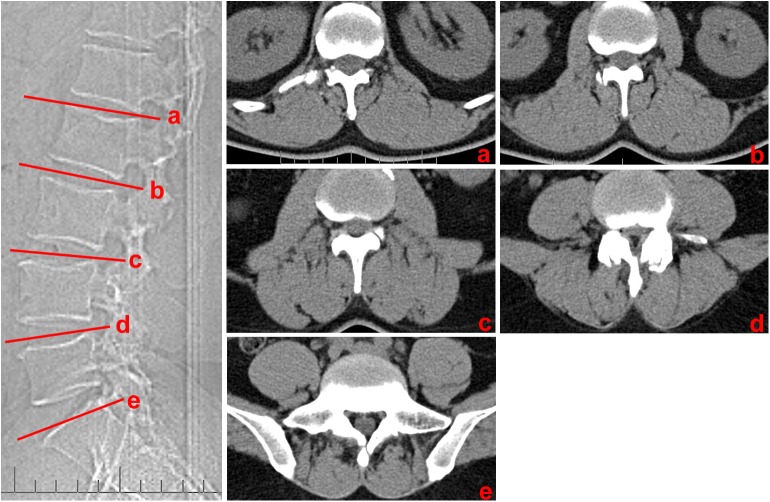 Fig 1