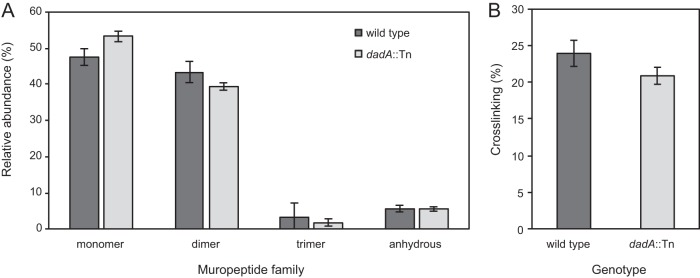 FIG 6 