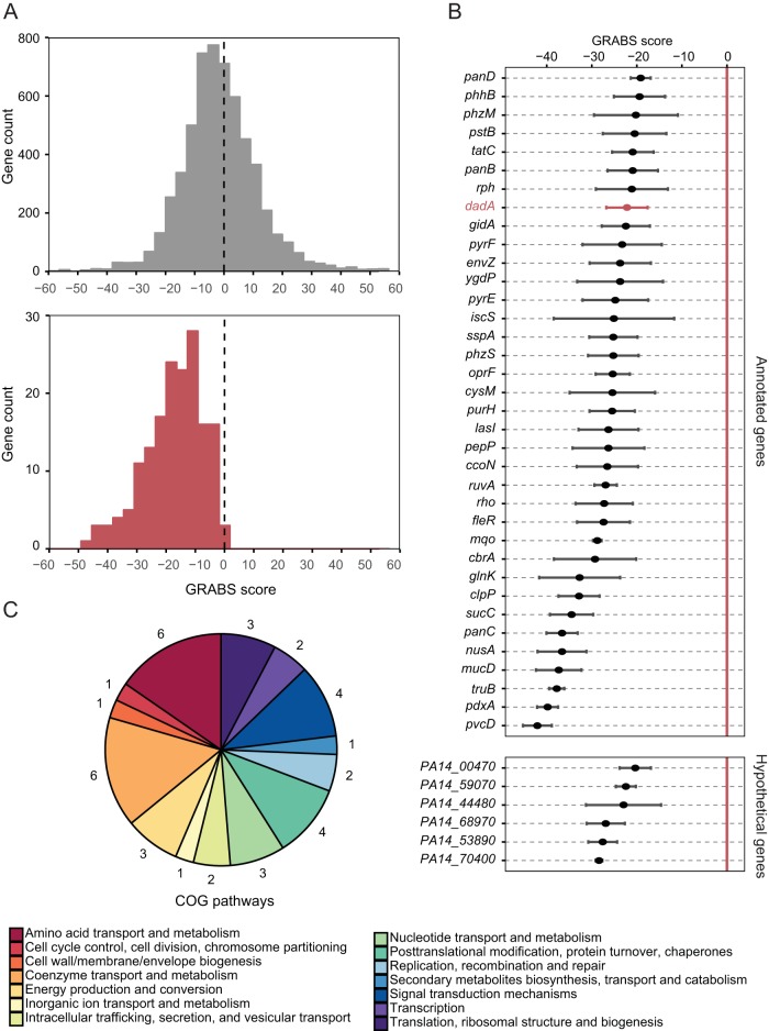 FIG 3 