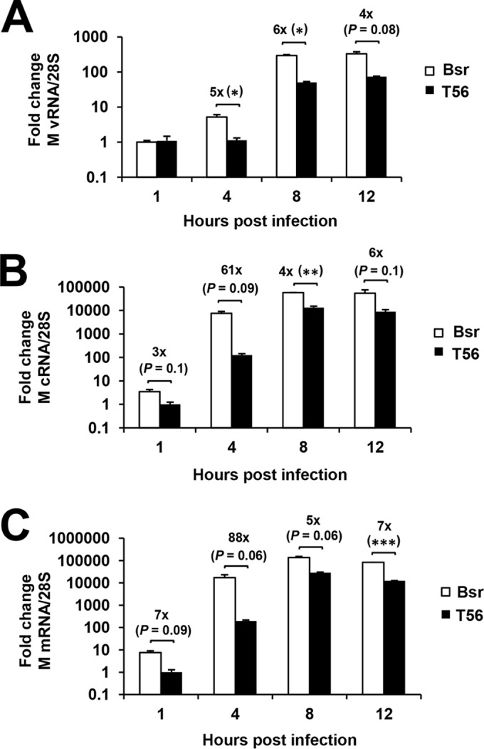 FIG 6