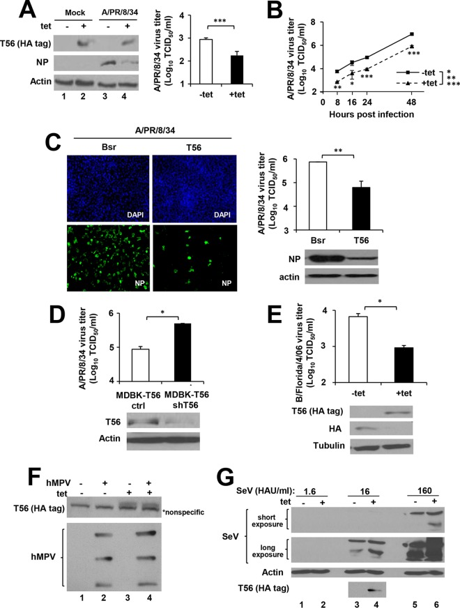 FIG 1