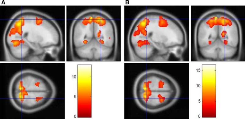 Fig. 7