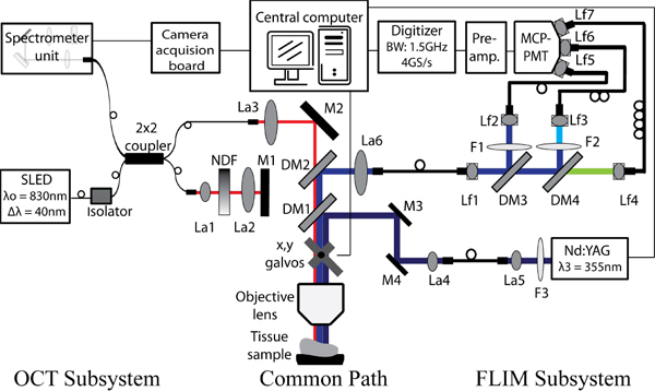 Fig. 1