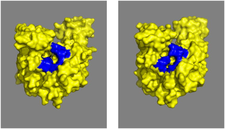 Figure 25