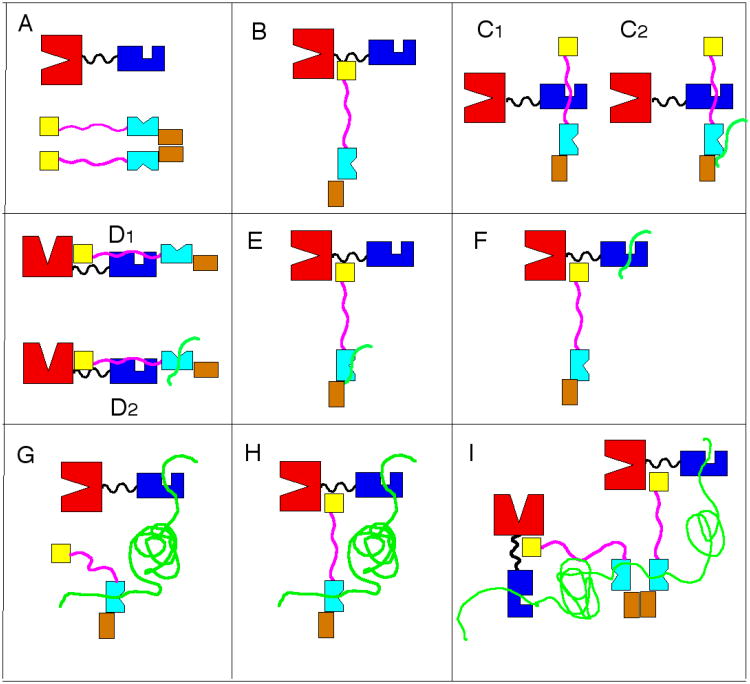 Figure 18