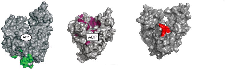 Figure 23