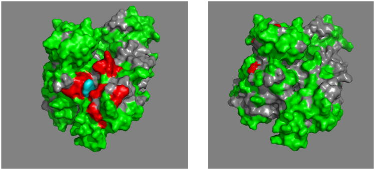 Figure 24