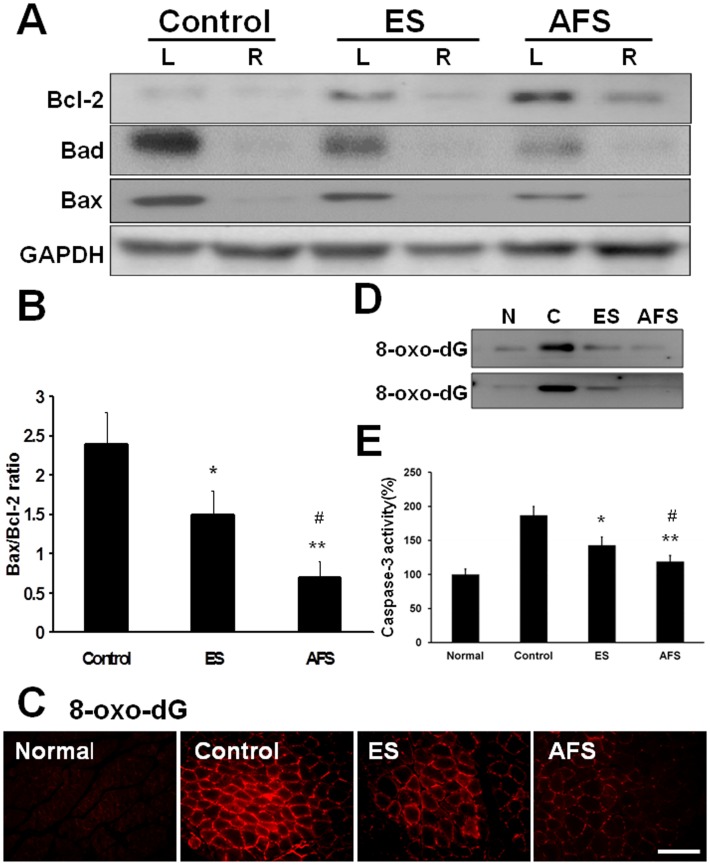 Fig 5