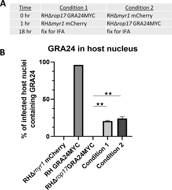 FIG 6