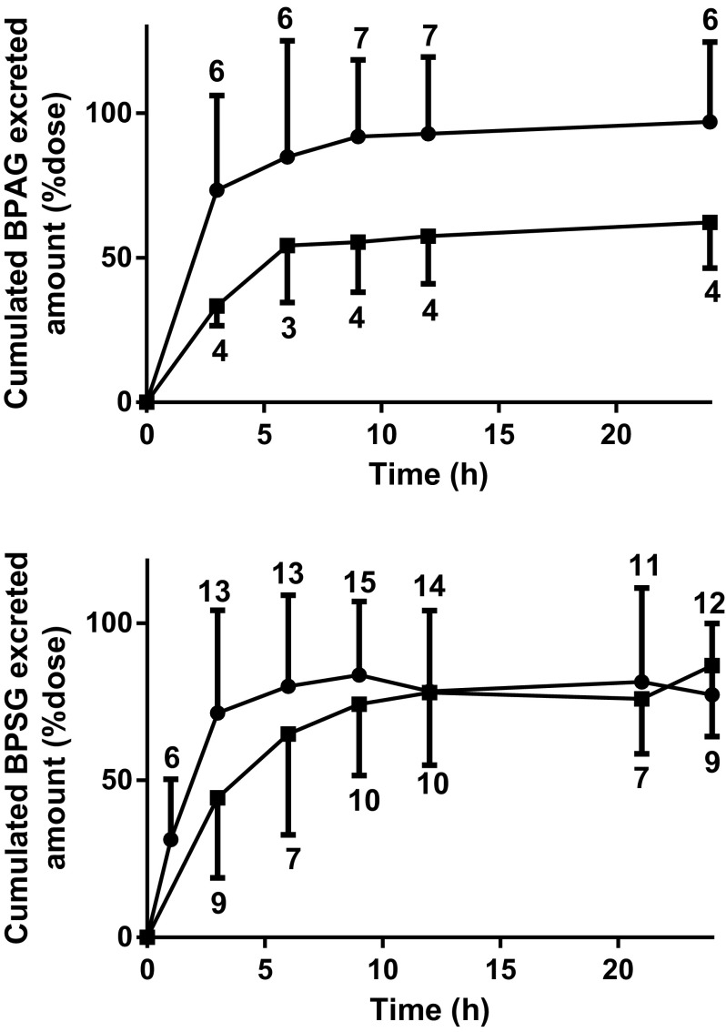 Figure 3 comprises two line graphs each plotting cumulated BPAG excreted amount and cumulated BPSG excreted amount (percentage dose; y-axis) across time (hours; x-axis).