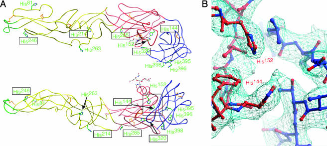 FIG. 6.